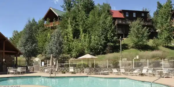 Image 2: Alpine Village Pool