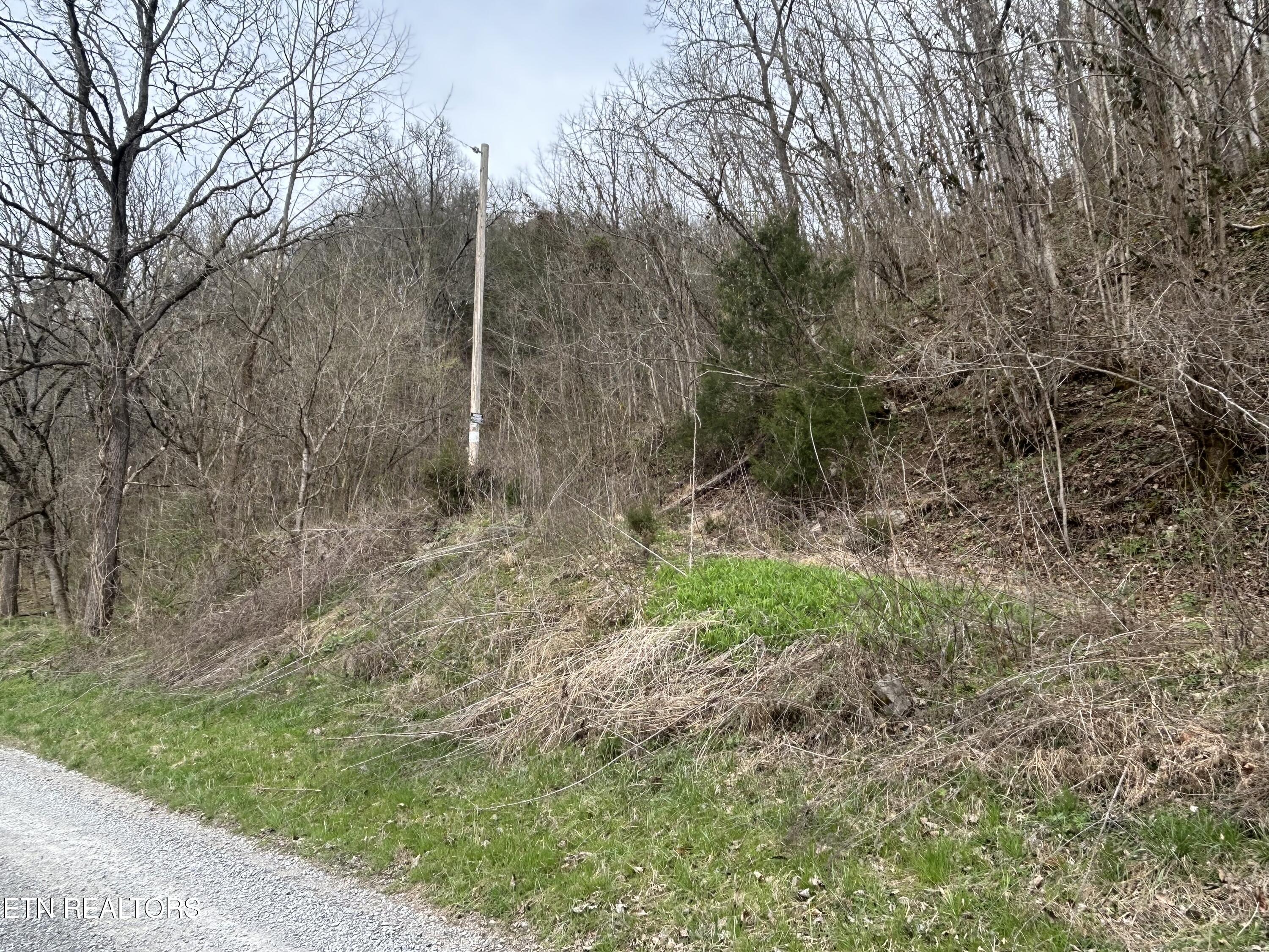 Image 3: IMG_5743