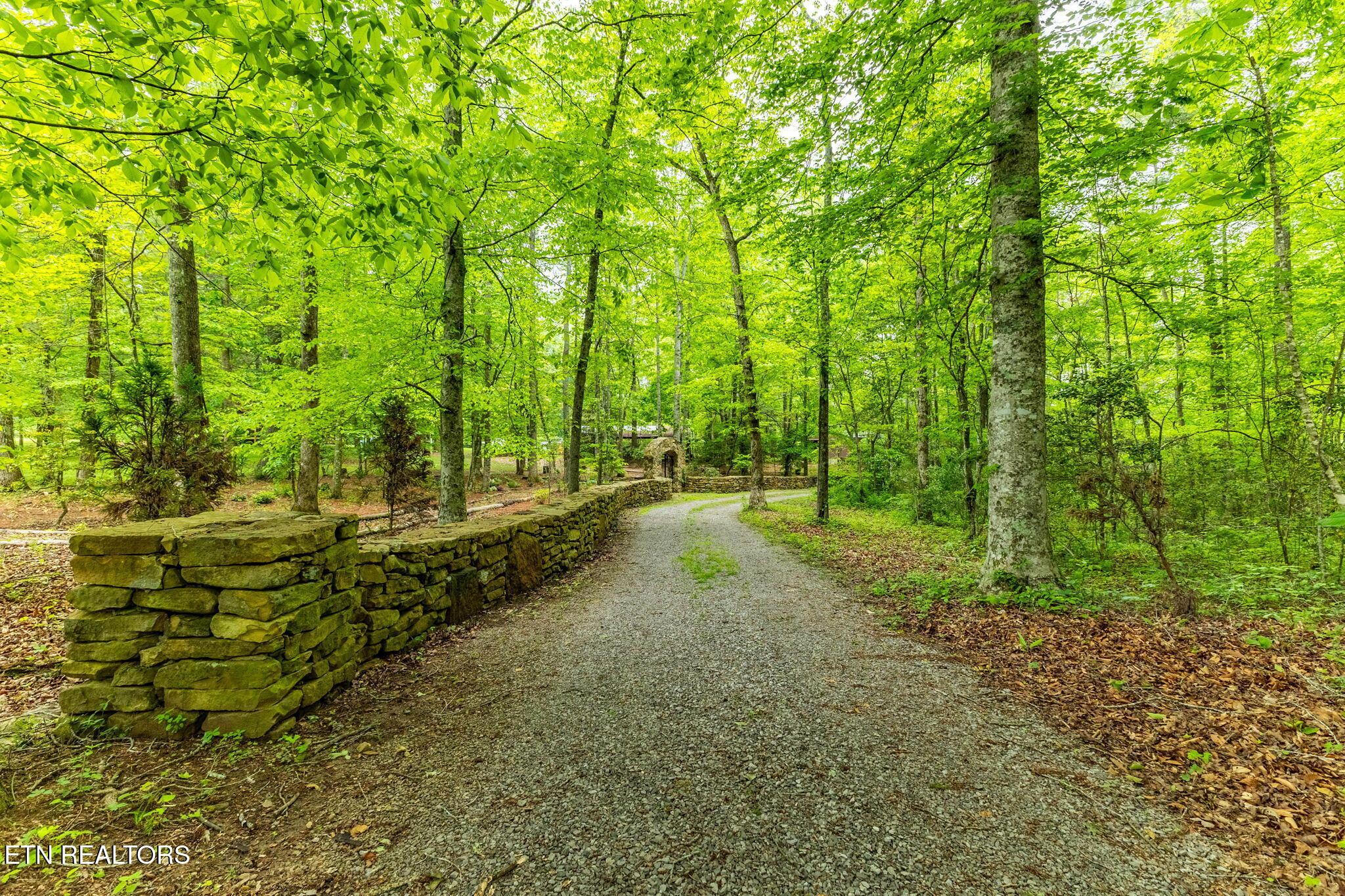 Image 4: 23-web-or-mls-3F1A2994-HDR-66