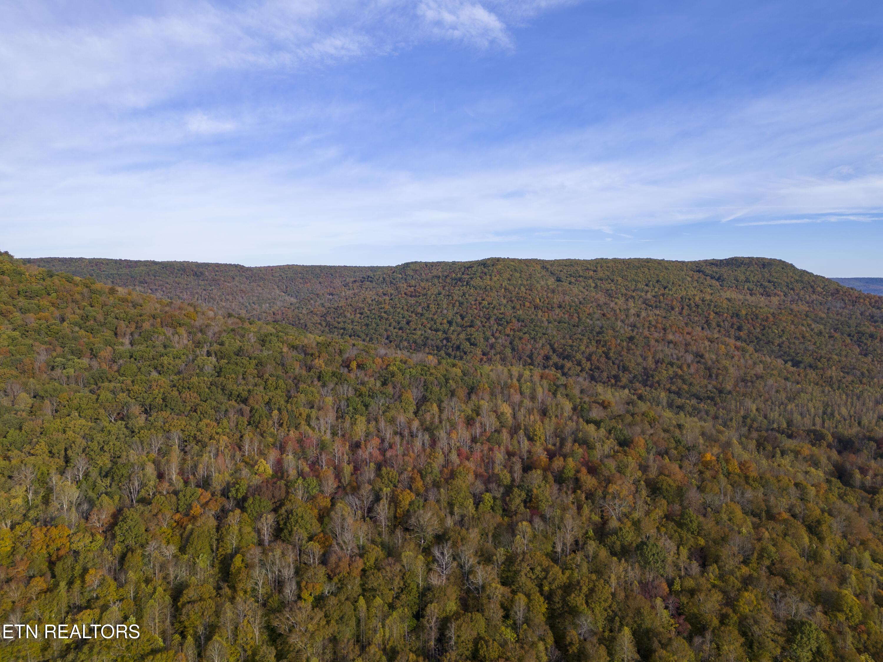Image 2: DJI_20251024093056_0019_D