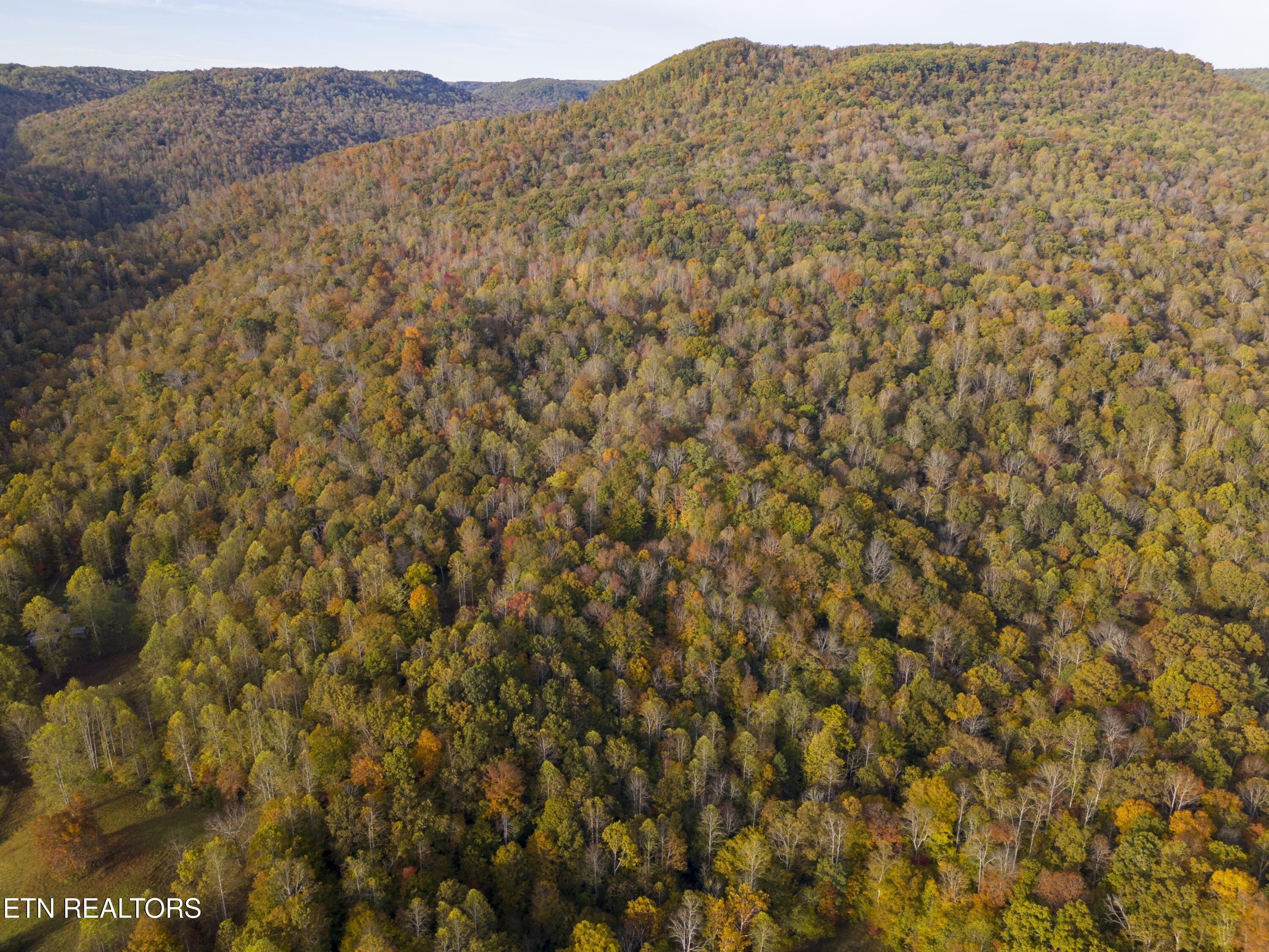 Image 3: DJI_20251024093237_0020_D