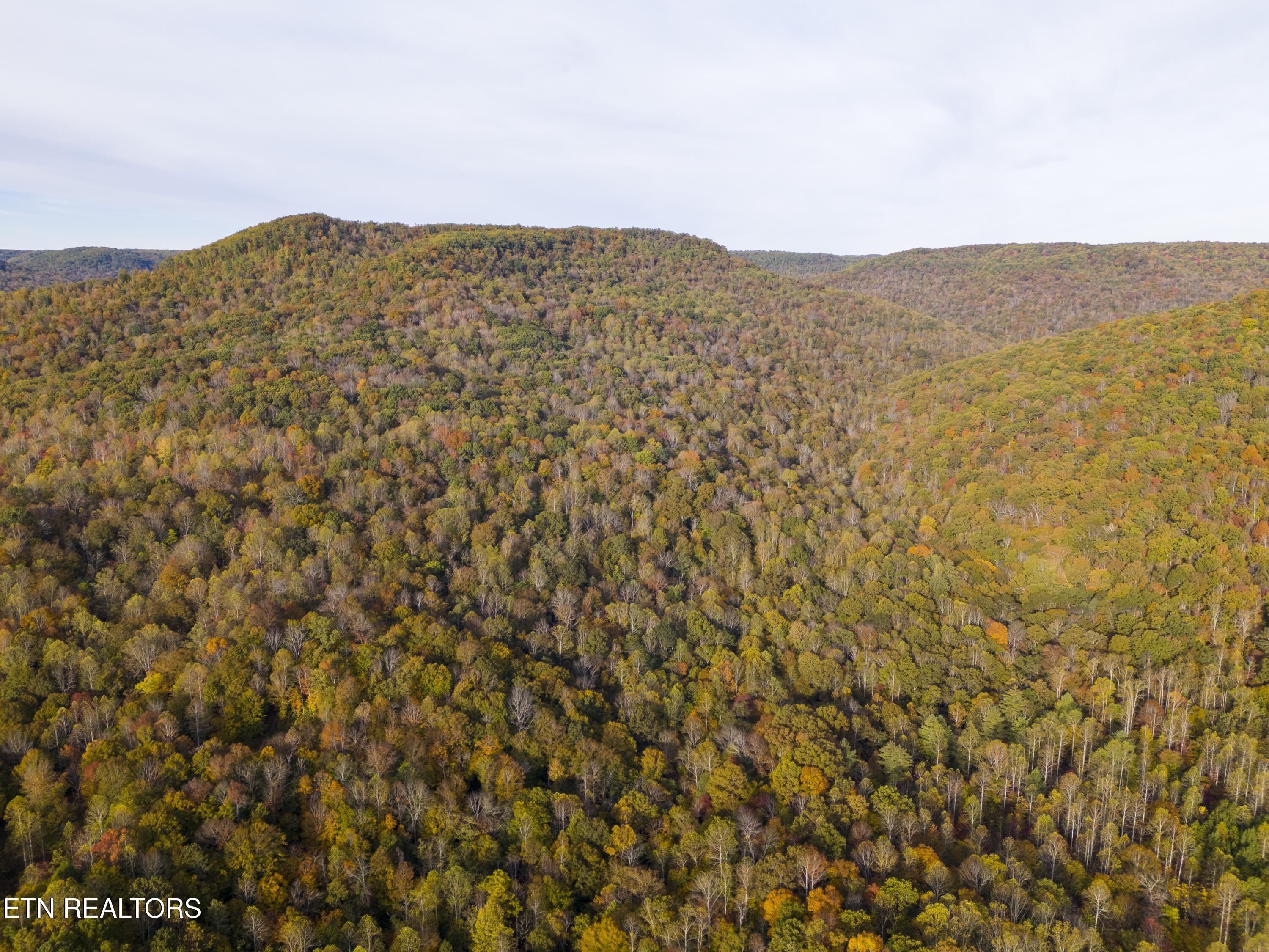 Image 4: DJI_20251024093244_0021_D