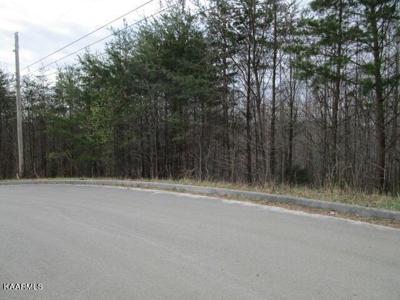 Deerridge Drive