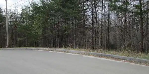 Deerridge Drive