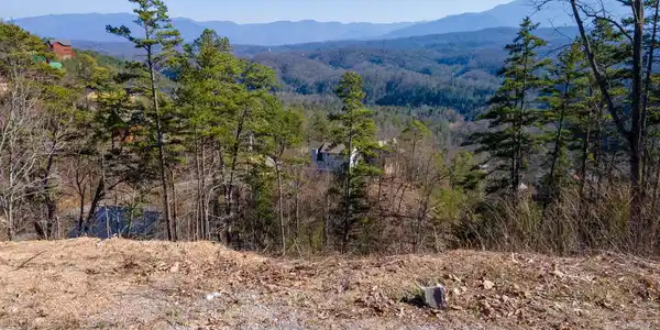 Lot 10 Bg Fox View Rd