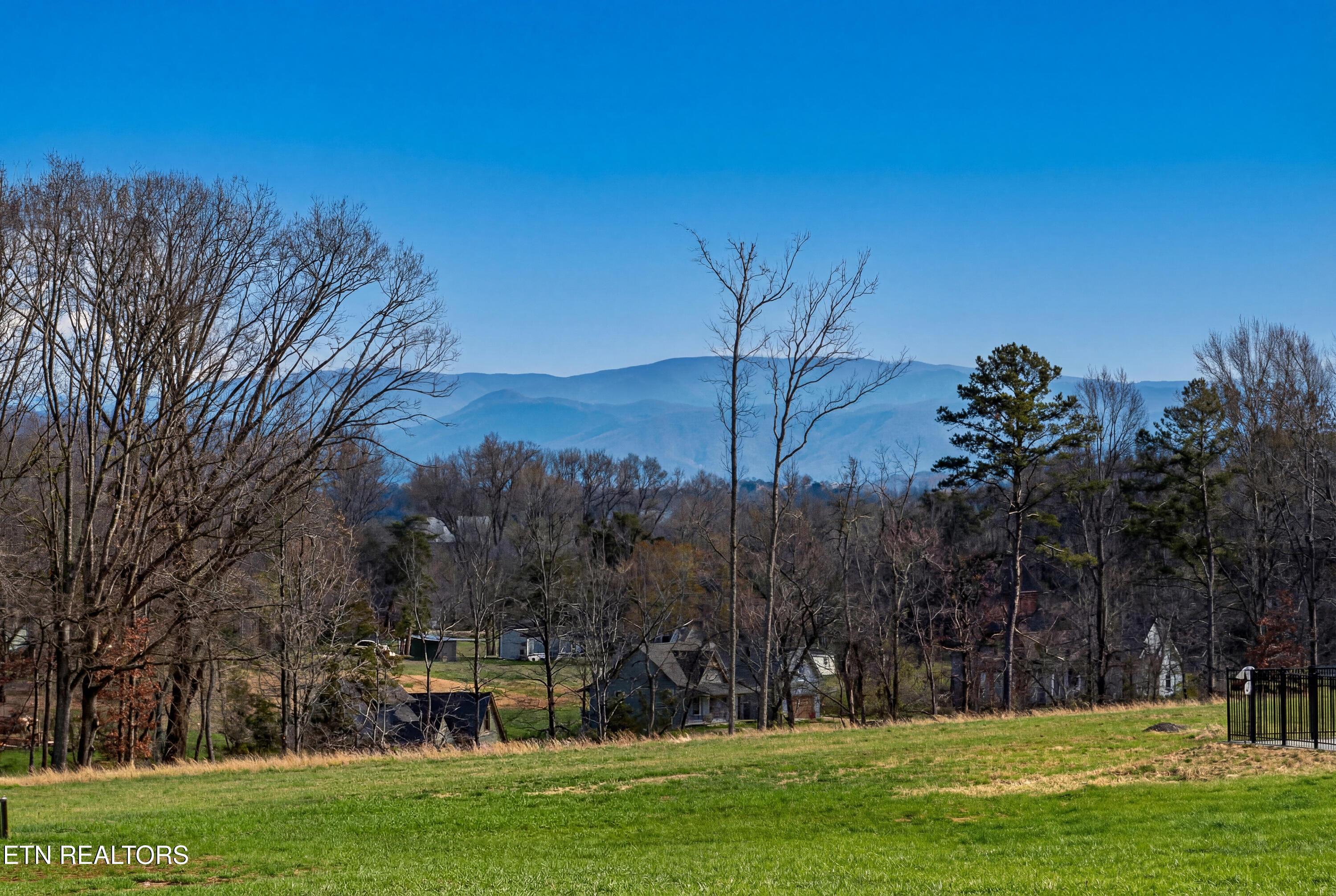 Image 3: Generated Image March 17, 2026 - 8_53PM