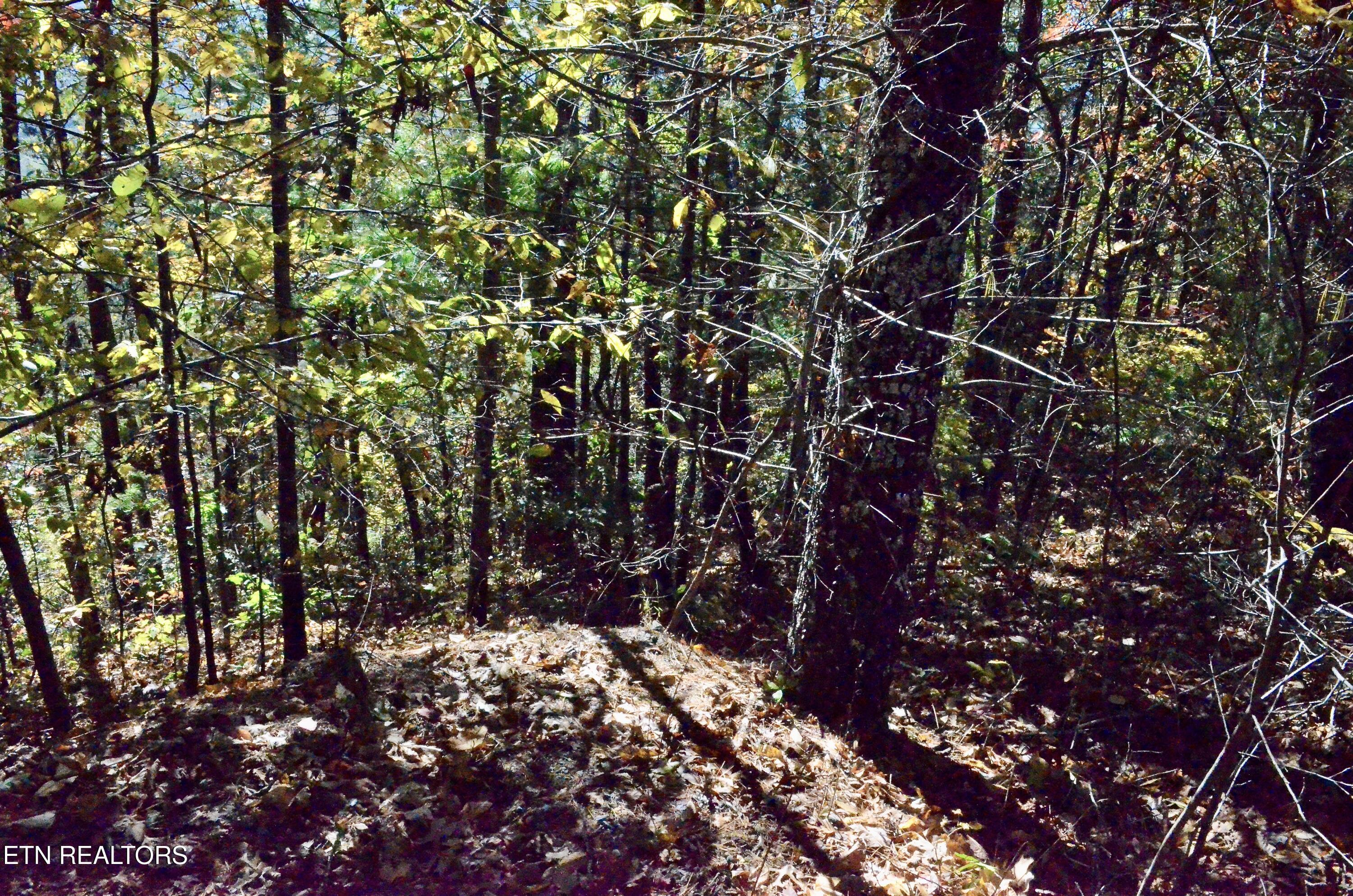 Image 3: DSC_0760
