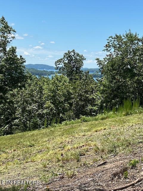 Image 2: Lake View
