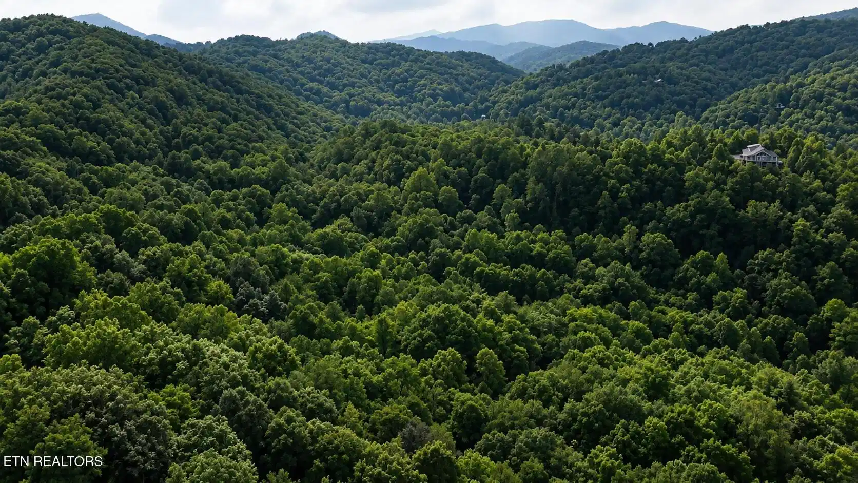 Image 1: s clear fork pic 1