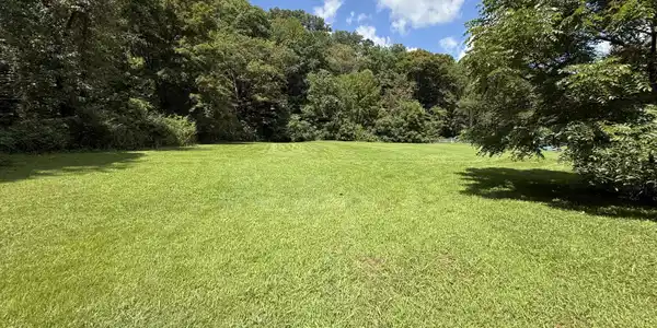 Image 3: Back Yard