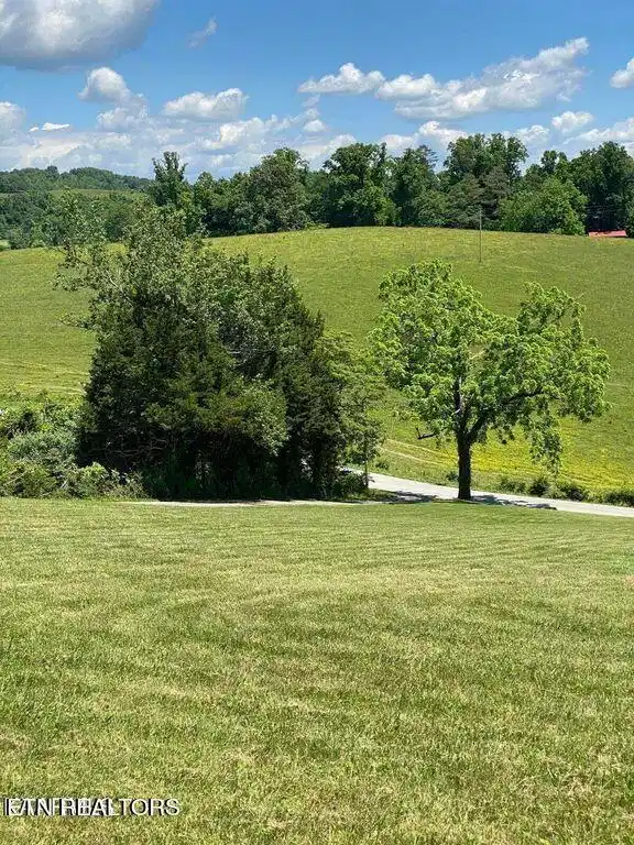 Image 1: lot8