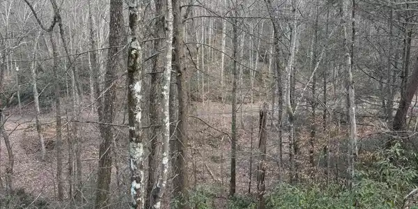 Goose Creek Lot #1 Rd