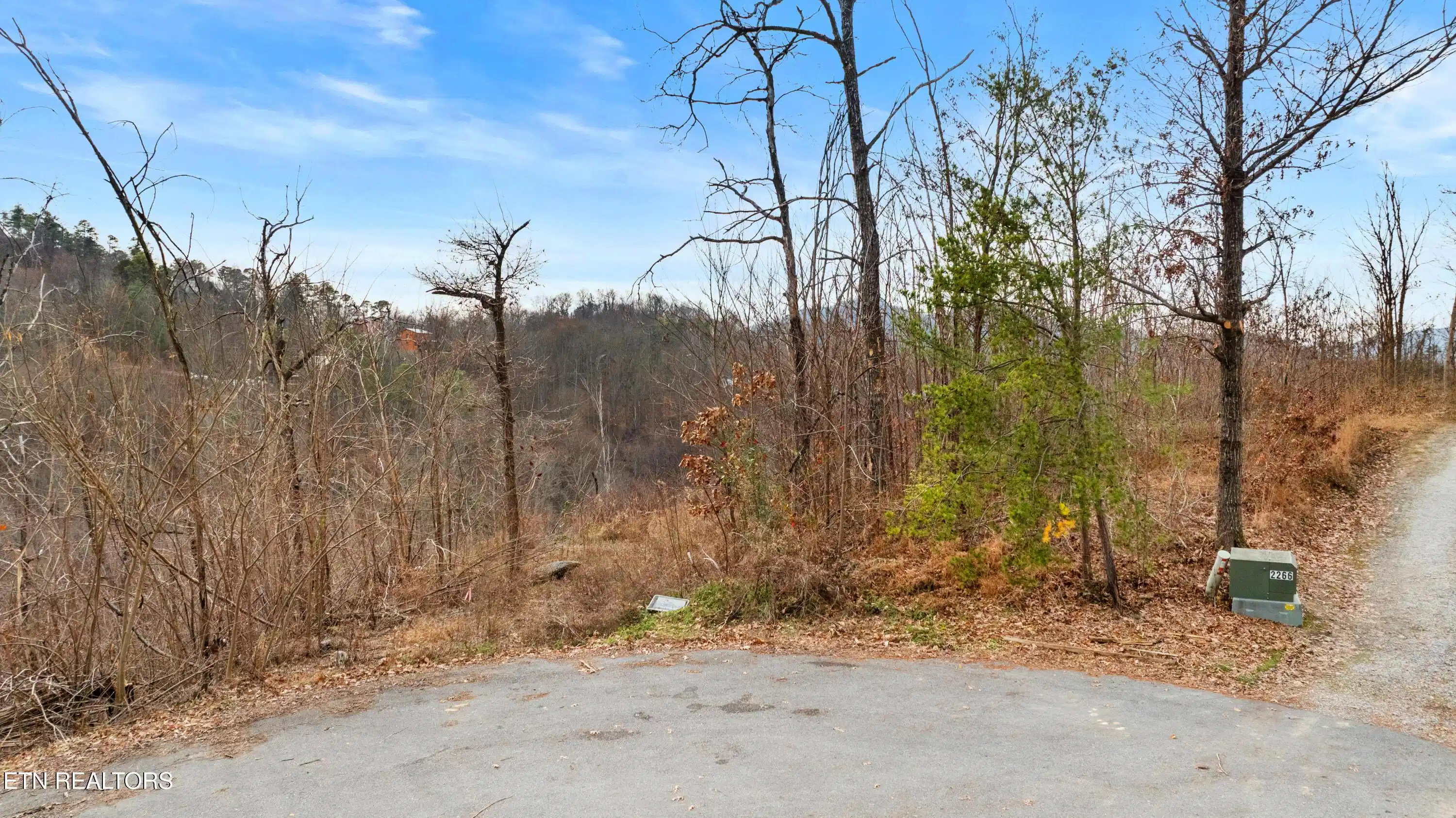 Image 1: DJI_0580-HDR