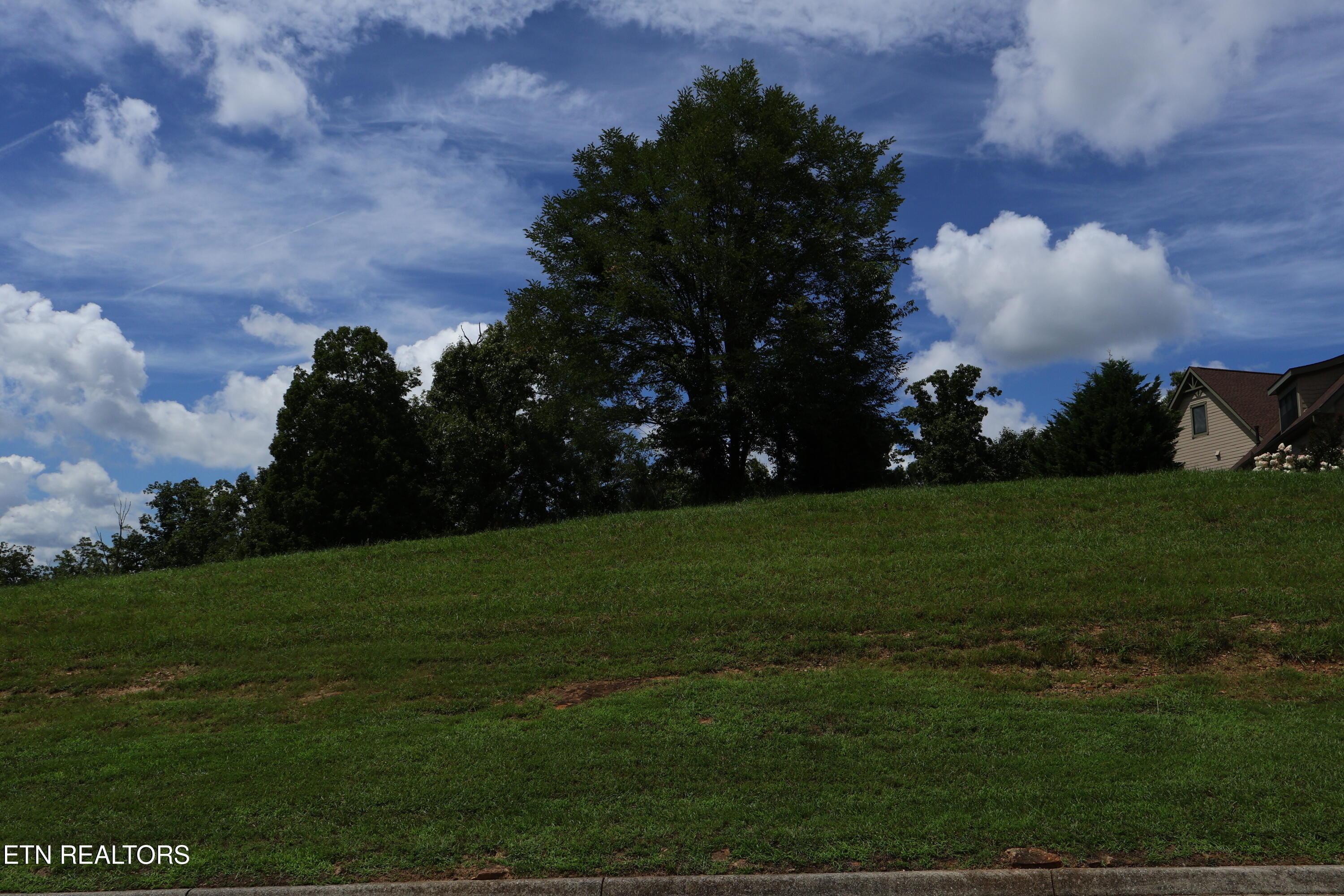 Image 2: IMG_0261