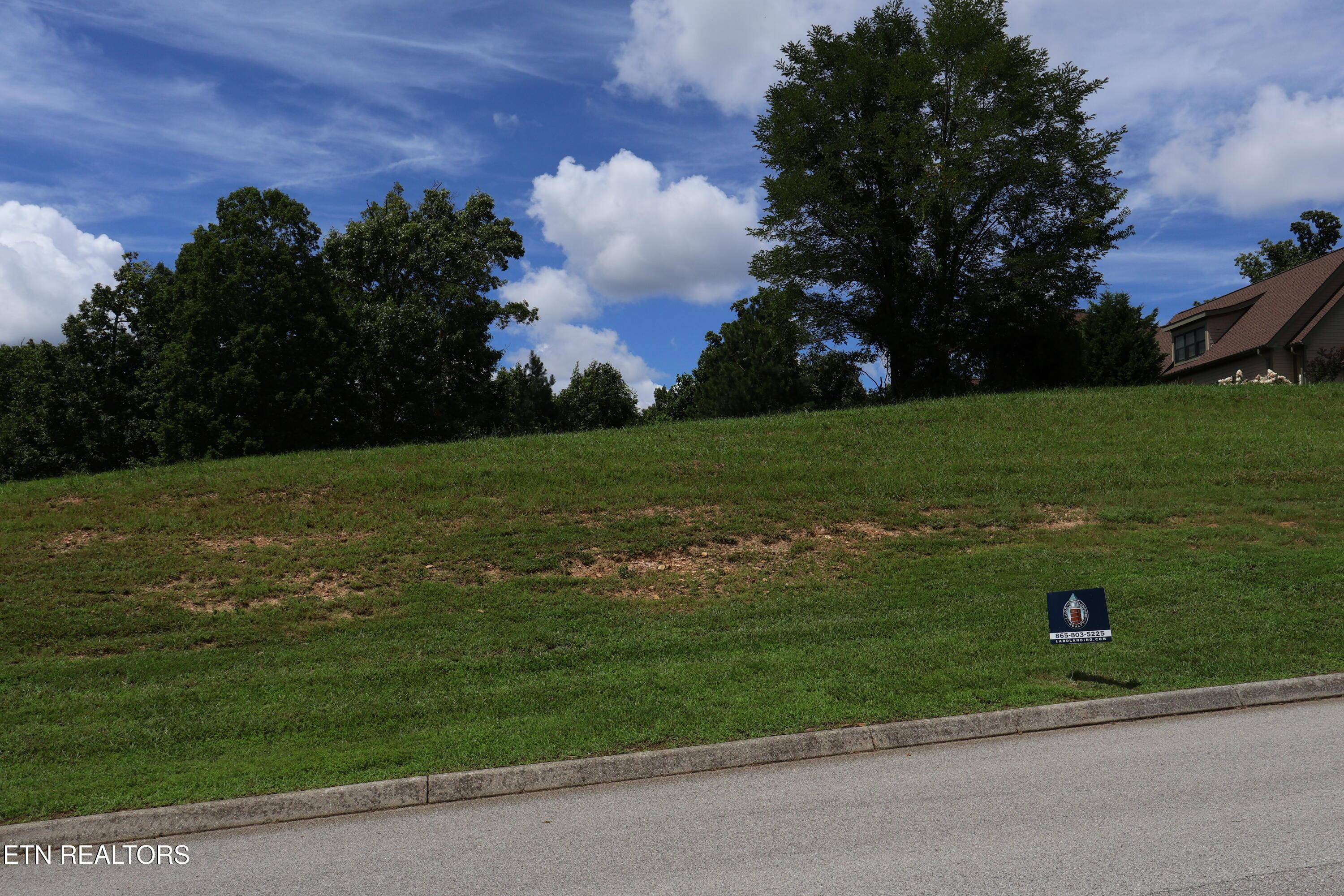 Image 3: IMG_0260
