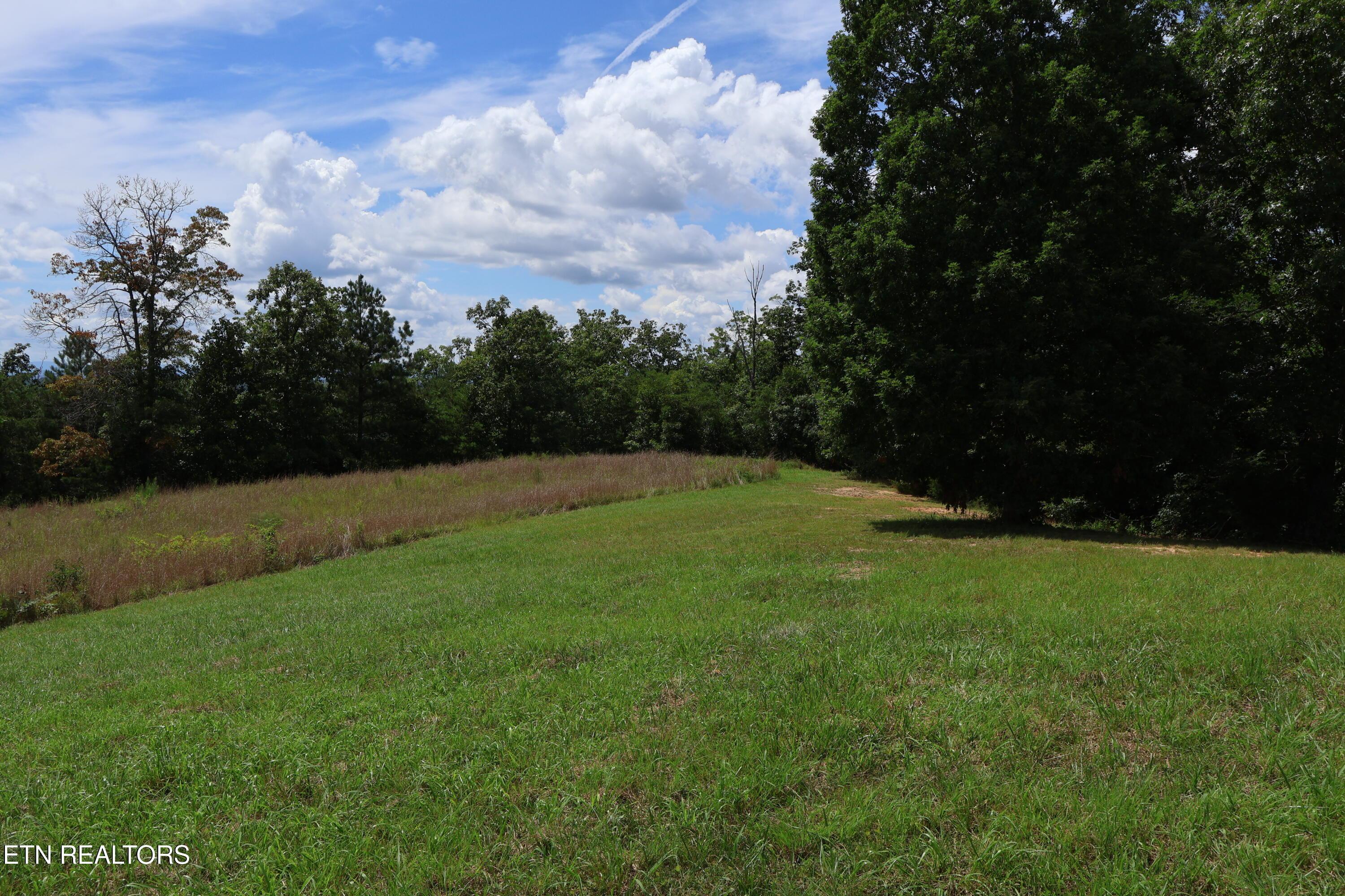 Image 4: IMG_0262