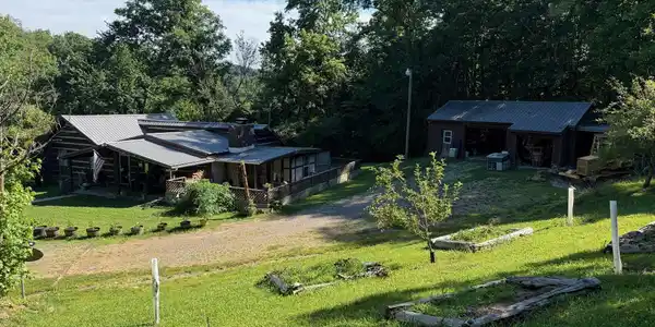 Image 3: Small Orchard