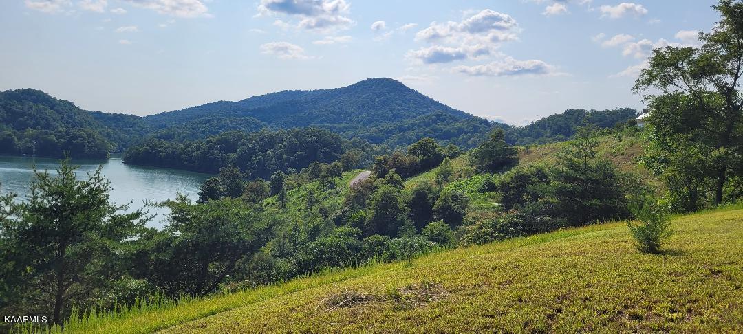 Image 2: Lake Norris Lone Mtn View (Left side)