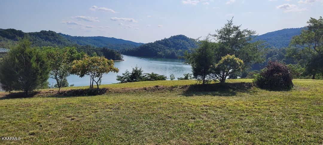 Image 3: Lake Norris Back of Lot View