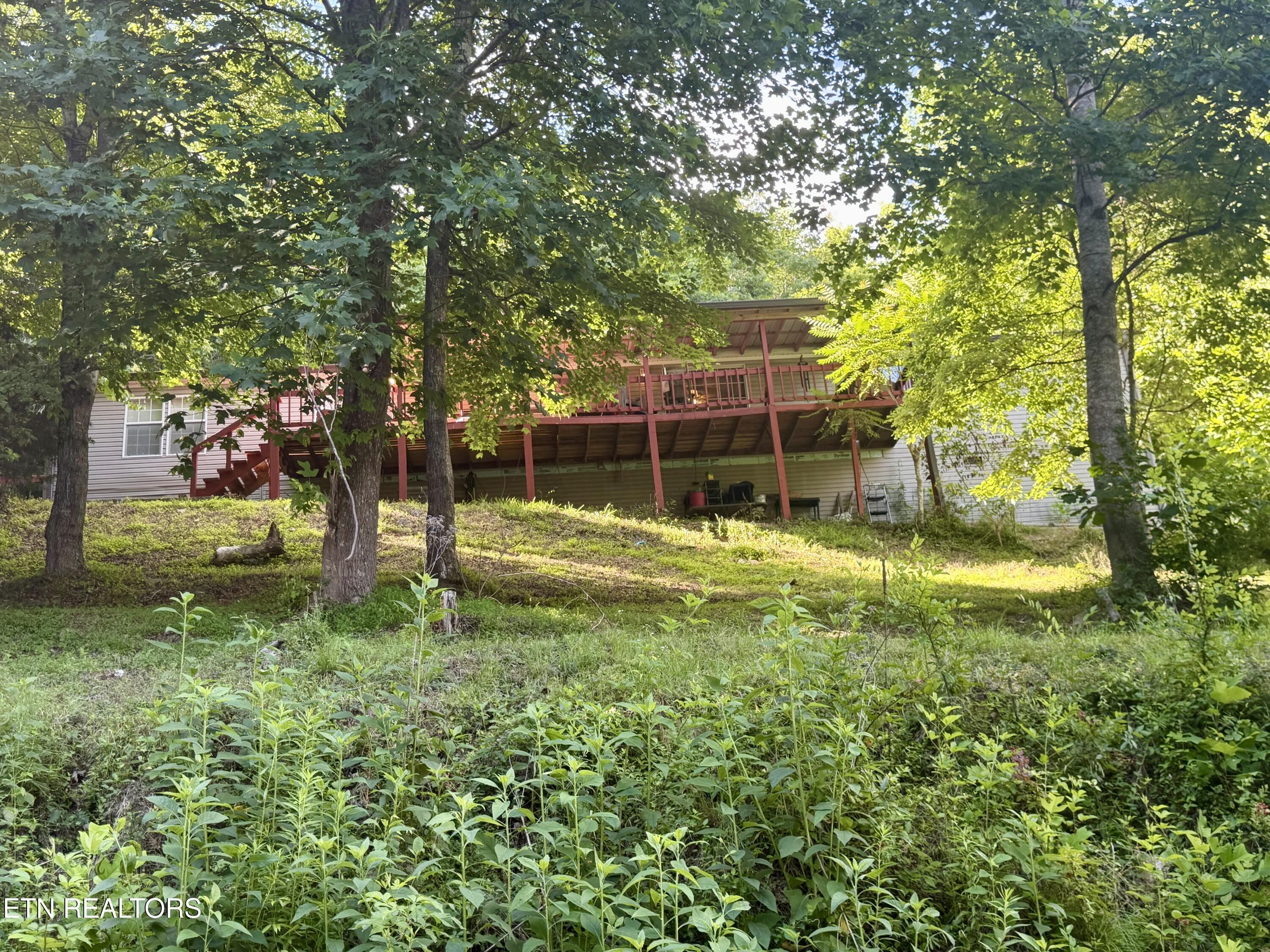 Image 3: IMG_4494