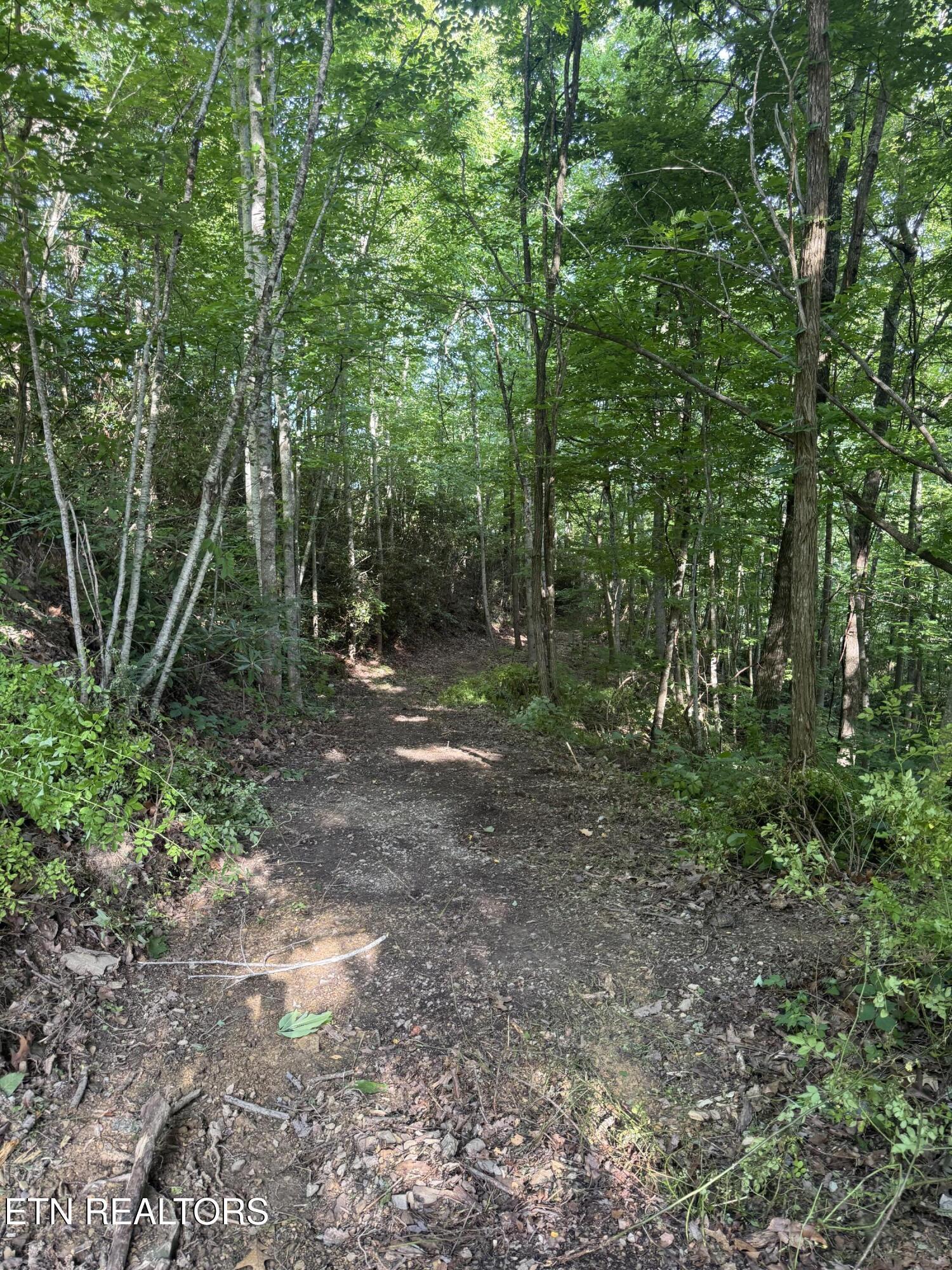 Image 3: IMG_9708