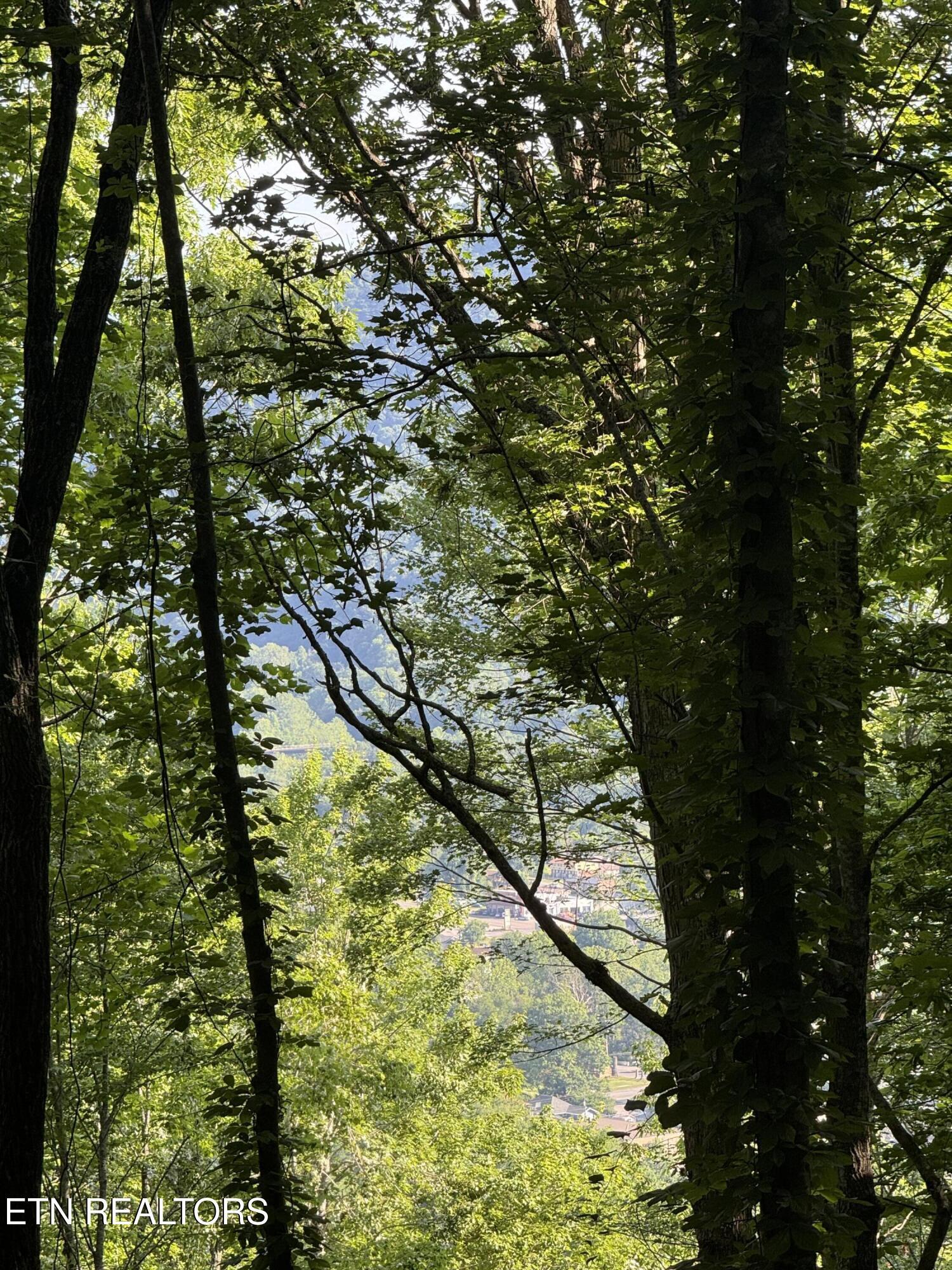 Image 4: IMG_9707