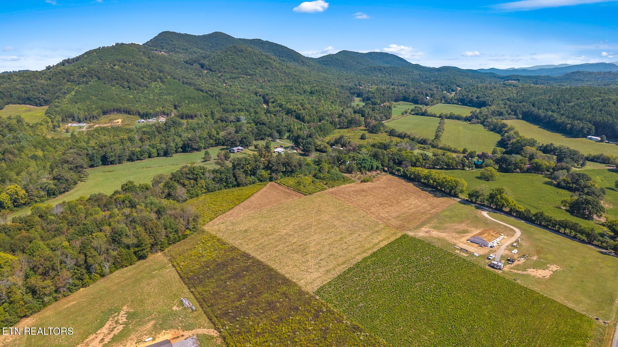 Image 4: 00 Tree Top Lane-3