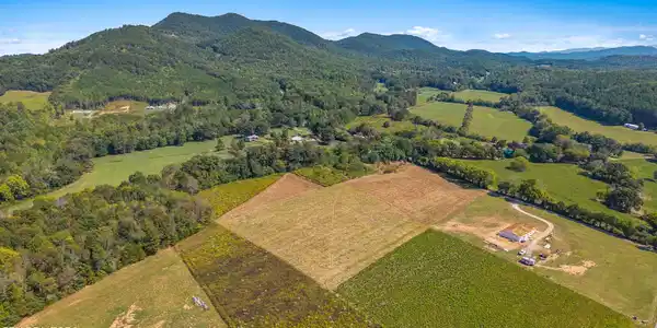 Image 4: 00 Tree Top Lane-3