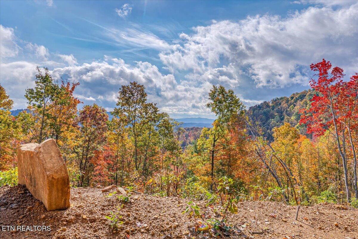 Image 2: 4-Extra View A4