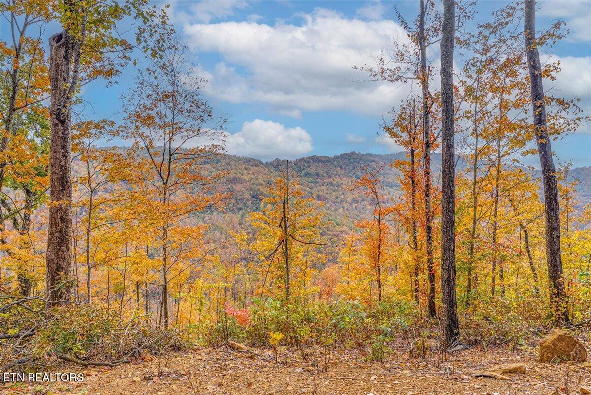 Image 3: 1-Extra View A1