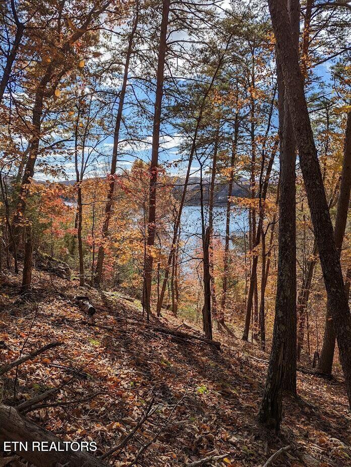 Image 4: Lot 155