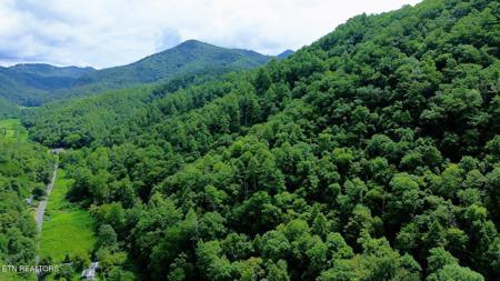 Carrs Creek   14 acres Rd