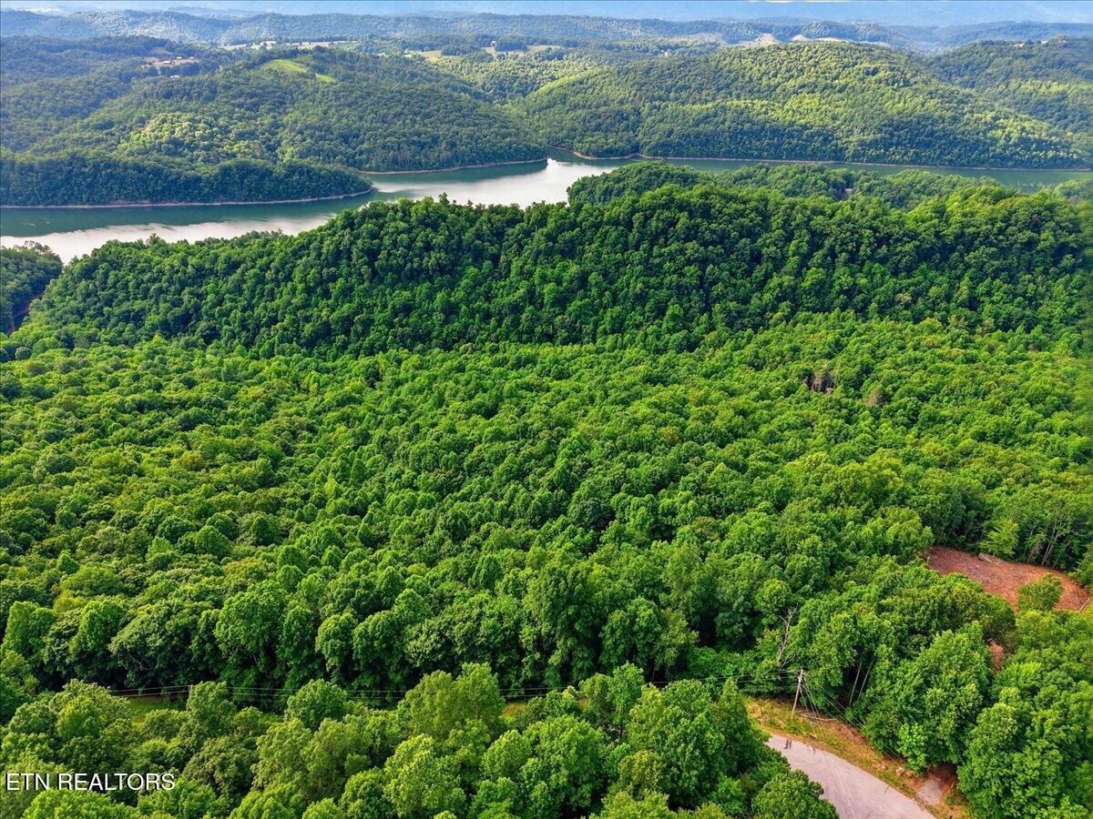 Image 4: 03-Whistle_Valley_Rd_003