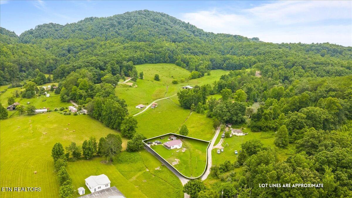 Image 2: 982 Little White Oak Rd