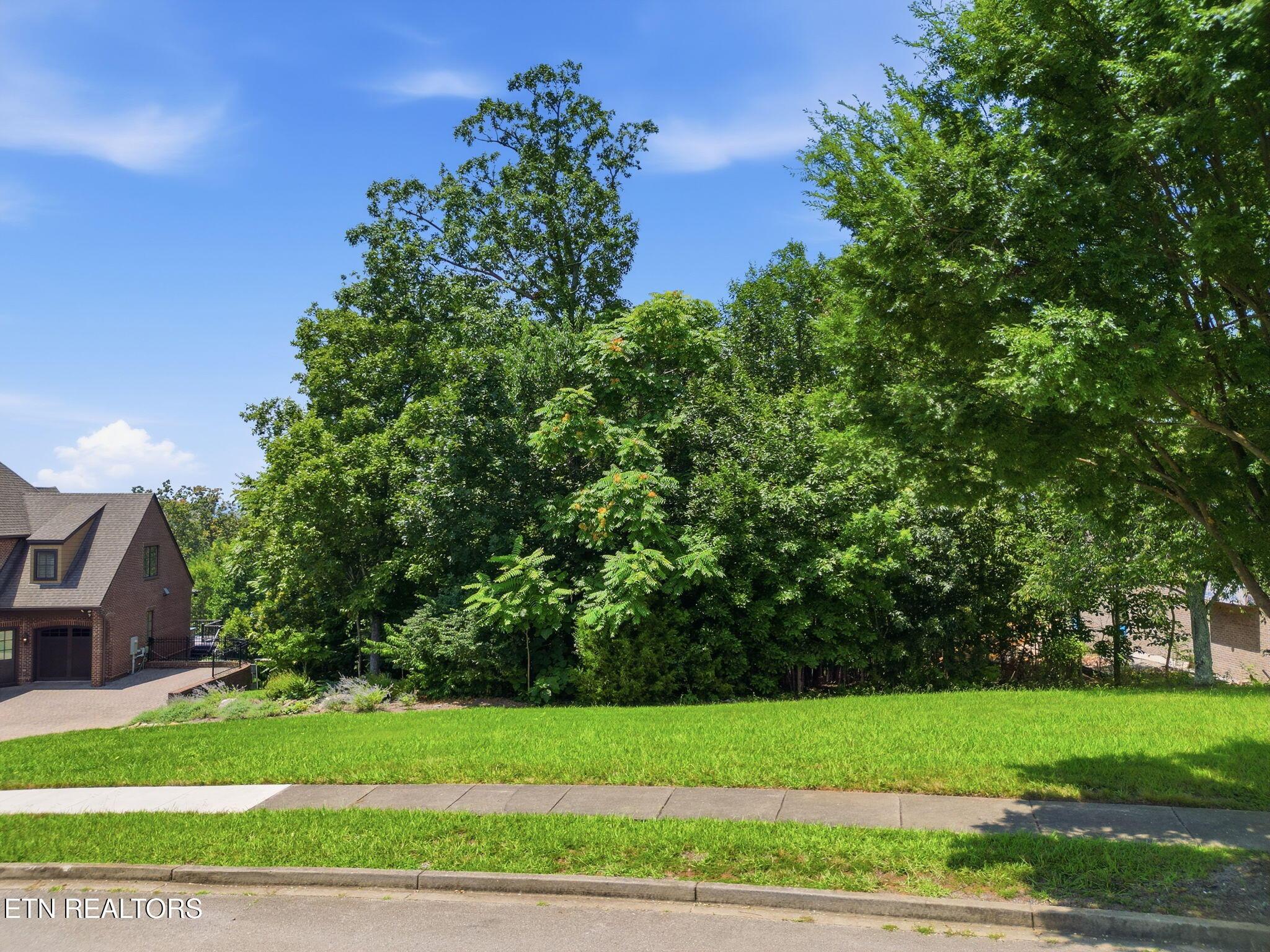 Image 3: 40-web-or-mls-DJI_0735