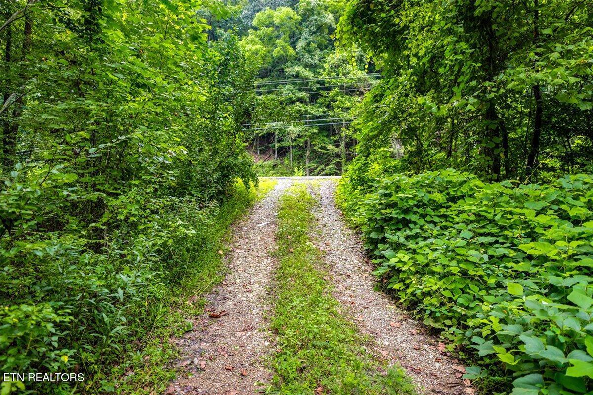 Image 2: Oliver-Springs-Land-Trail-System