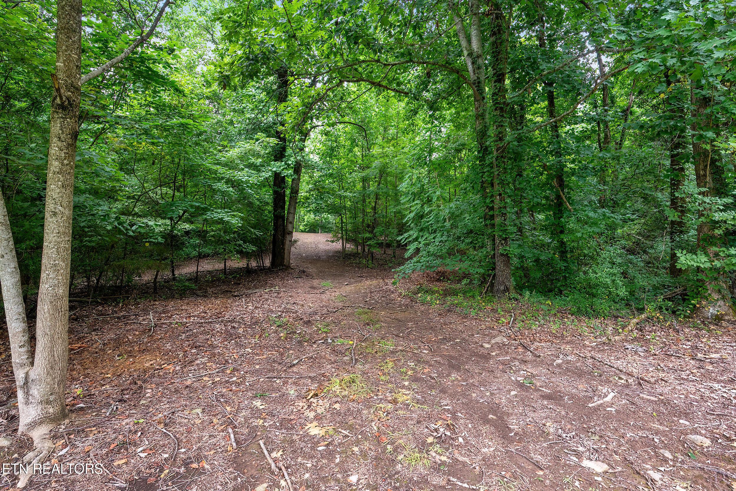 Image 4: 4