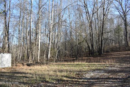 Lot 54 Bark Lane