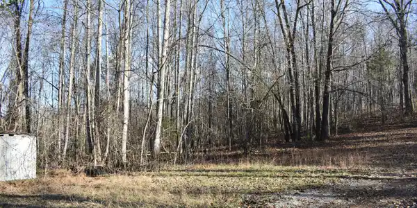 Lot 54 Bark Lane