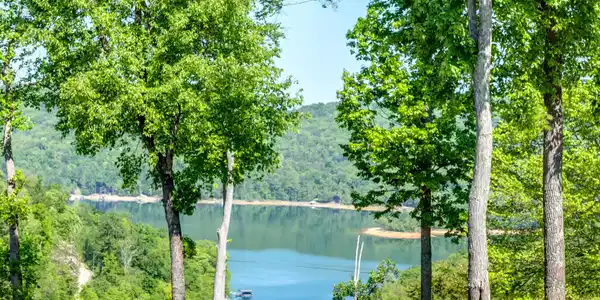 Image 2: Lake View