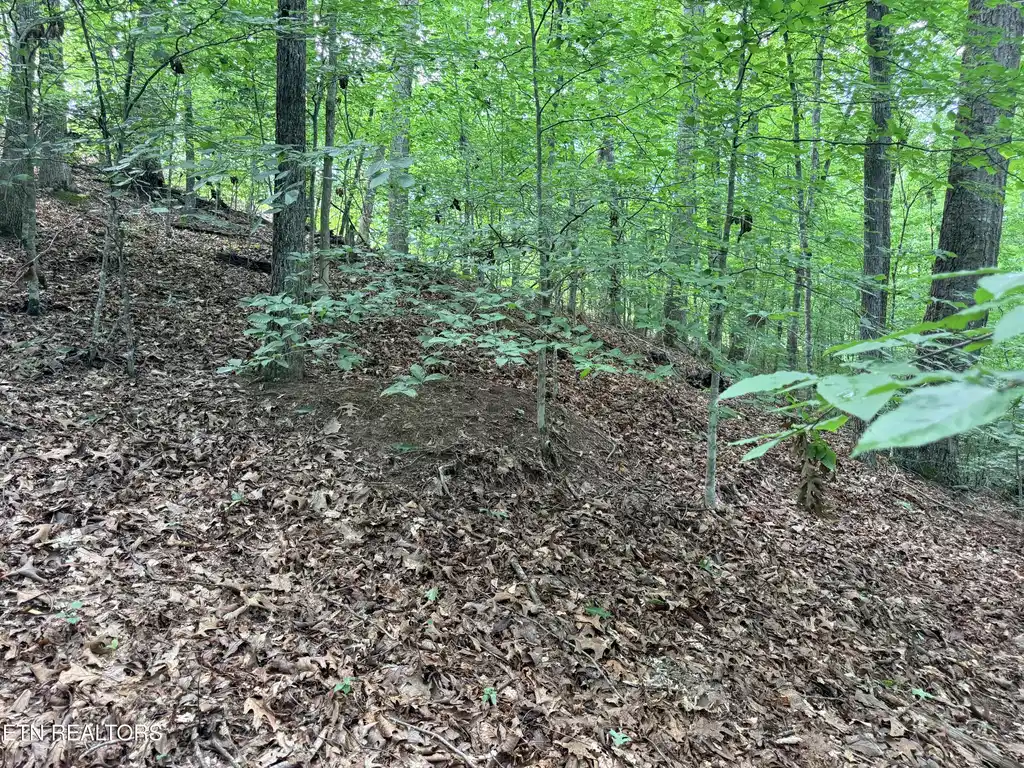 Image 1: Lot 128