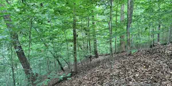Image 3: Lot 128