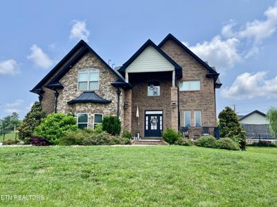 1433 Alum Cave Cove