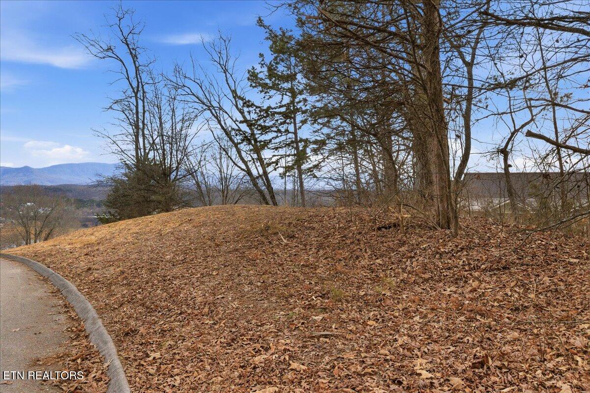 Image 4: 13-Buckhead Trail Lot-14