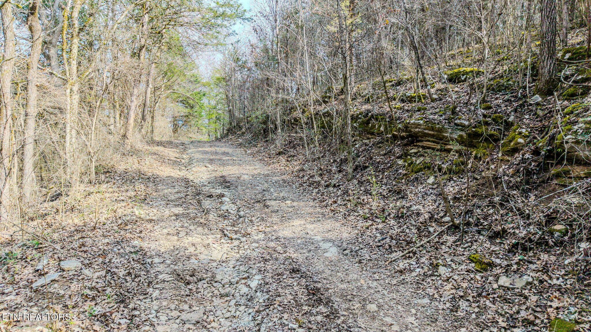 Image 2: 2-web-or-mls-DJI_20260225114827_0832_D