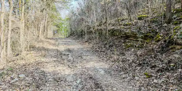 Image 2: 2-web-or-mls-DJI_20260225114827_0832_D