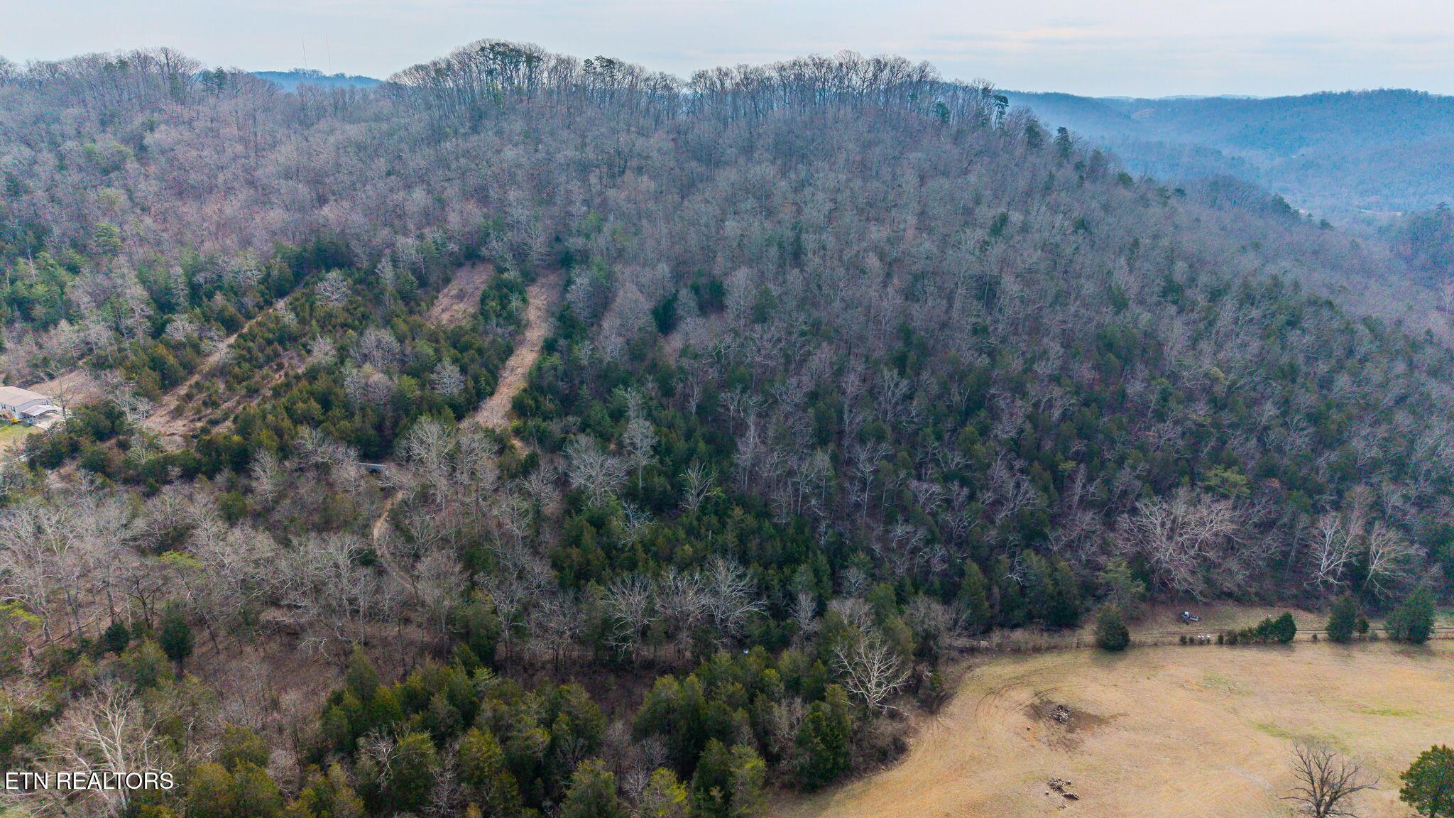 Image 3: 3-web-or-mls-DJI_20260225114630_0828_D