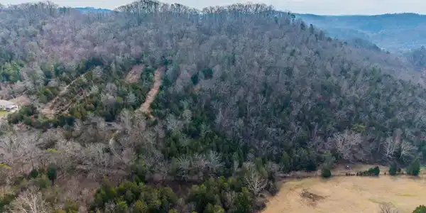 Image 3: 3-web-or-mls-DJI_20260225114630_0828_D