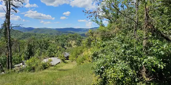 Image 3: Views Phase B