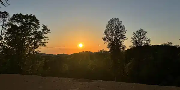 Image 4: Sunset Roy Lee Way